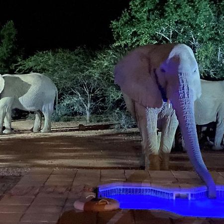 Twiga Lodge Mabalingwe 벨라벨라 외부 사진